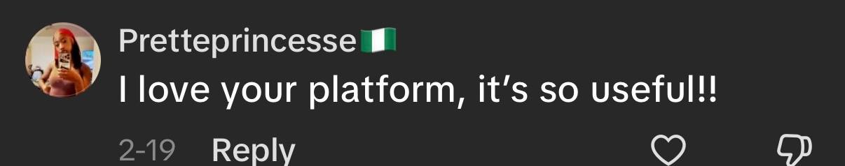 TikTok comment from Pretteprincesse loving the platform and calling it useful.